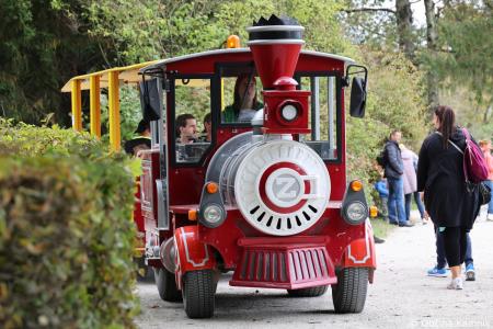 Čarobni dan v Arboretumu Volčji Potok presegel pričakovanja (68)